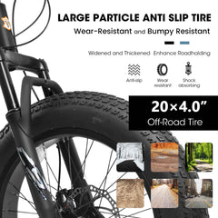 20" Fat Tire Mountain Bike | Full Shimano 7-Speed, Dual Disc Brakes & Front Suspension