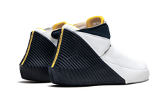 Why Not Zer0.1 "Michigan PE" 819513 PC