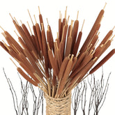 20pcs Realistic Dried Cattail Stems - Natural Brown, Long 17" Bundles for Wedding, Home, Office, Garden Decor - Rustic Floral