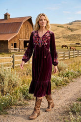 Johnny Was JWLA Anaya Velvet Bishop Sleeve Dress Petite J39625-9P
