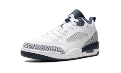 Spizike Low "Obsidian" FQ1759 104