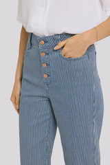 Kasey Stovepipe Ankle Jeans - Malaga Stripe