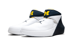 Why Not Zer0.1 "Michigan PE" 819513 PC