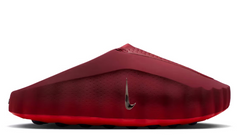 Mind 001 Slide Team Red University Red